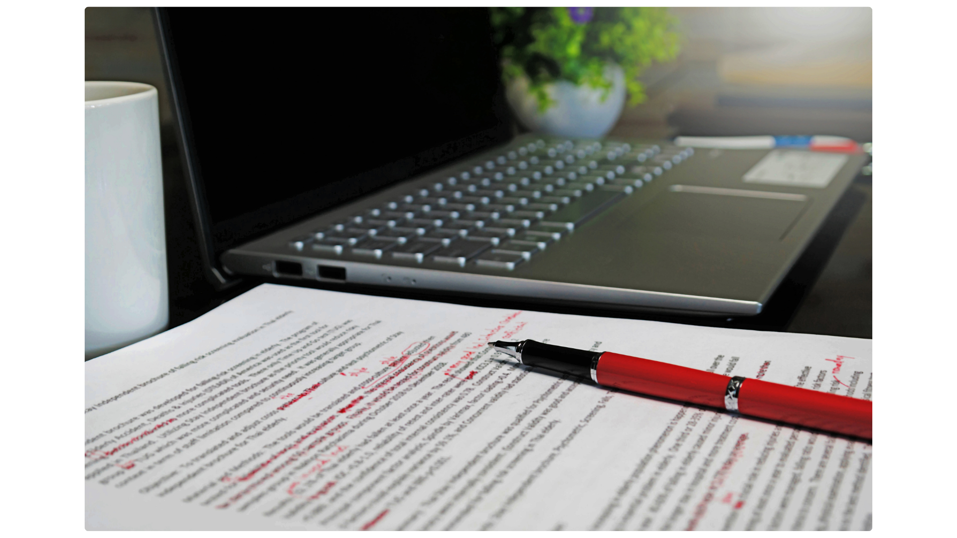 Essay Review
